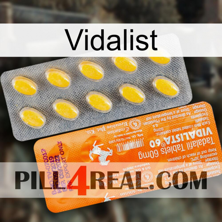 Vidalist new05